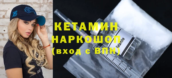 шишки Аркадак