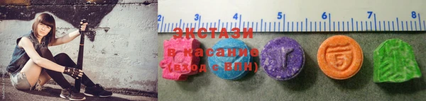 шишки Аркадак