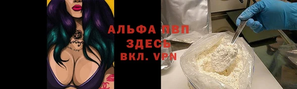 шишки Аркадак